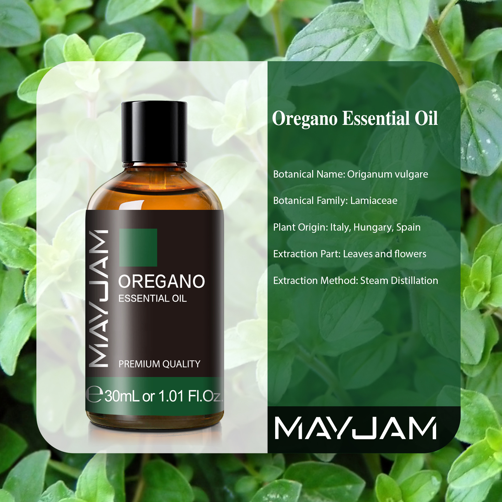 MAYJAM 30ML with Dropper Essen - Shea Butter Raw incelemesi ve fiyatı