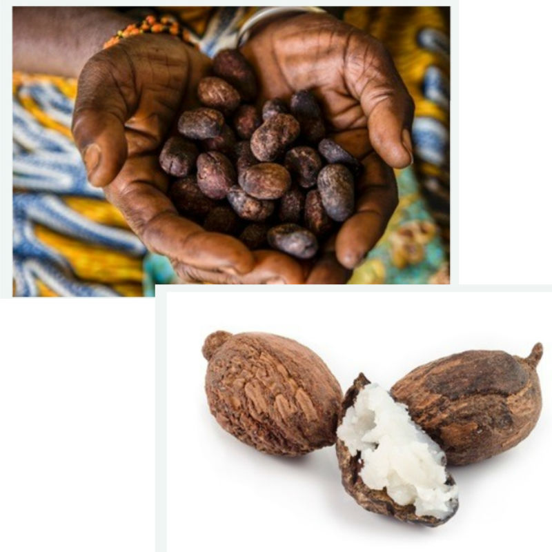 Dimollaure Shea Butter Oil 100 - Shea Butter Raw incelemesi ve fiyatı